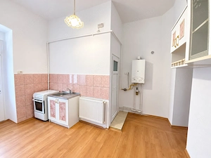 Comision 0%, Apartament o camera, 39 mp, Boxa, Curte, Zona Piata Maria - imagine 6