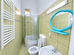 Comision 0%, Apartament o camera, 39 mp, Boxa, Curte, Zona Piata Maria - imagine 7