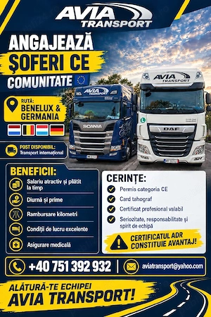 Sofer profesionist CE 