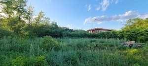 Teren de vanzare in Corbeanca,Ilfov
