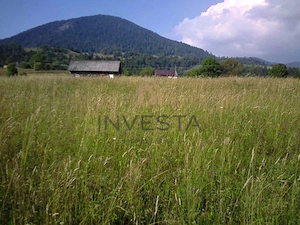 Oportunitate langa lacul Colibita! Teren intravilan 12.588 mp! - imagine 2