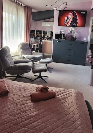Apartament EXCLUSIVIST  - cu acces la curte interioara si sala de fitness- in imobil tip VILA - imagine 2