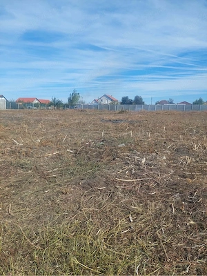 Terenuri intravilane de vânzare   Liebling, județul Timiș