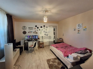 Apartament 2 camere parter Terezian - imagine 3