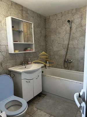 De vanzare casa Oniscani Bacau - imagine 8