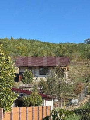 Teren intravilan Lunca Cetățuii, Ciurea, 2020 mp - imagine 8