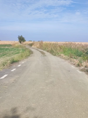  Teren Agricol   6.059 MP   Bolotești, VRANCEA - imagine 4