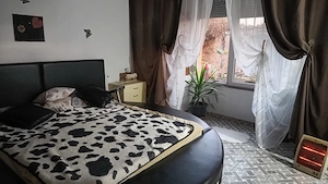CASA 163MP UTILI, TEREN 1460MP, BARIERA VALCII - imagine 4