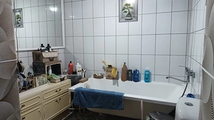 CASA 163MP UTILI, TEREN 1460MP, BARIERA VALCII - imagine 10