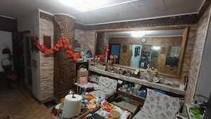 CASA 163MP UTILI, TEREN 1460MP, BARIERA VALCII - imagine 8