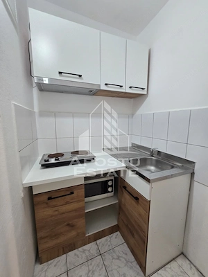 Apartament  cu 1 camera de inchiriat in zona Buziasului - imagine 6