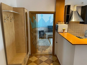 Apartament 2 Camere Calea Calarasilor Bucuresti - imagine 12