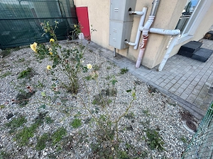 Apartament 3 camere cu terasa, Zona Turnișor - imagine 10