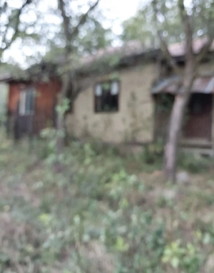 Teren de vânzare jud Buzău comuna Bisoca  - imagine 4