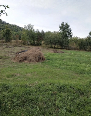 Teren de vânzare jud Buzău comuna Bisoca  - imagine 6