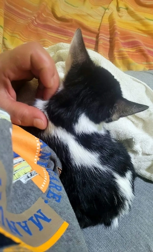 Doua surori spre adoptie  - imagine 4