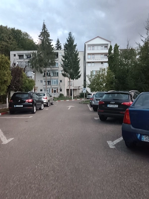 Garsoniera de vânzare Geoagiu Bai  - imagine 4