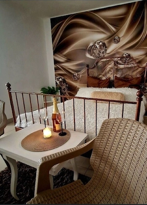 Garsoniera regim hotelier Craiova - imagine 5