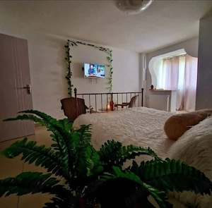 Garsoniera regim hotelier Craiova - imagine 3