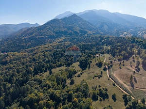 COMISION 0% | TEREN 9.300 MP ÎN INIMA MUNȚILOR | GLĂJERIE – RÂȘNOV - imagine 6