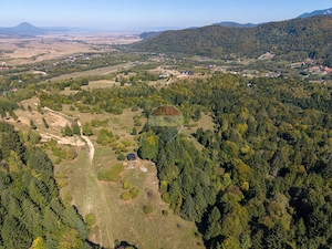 COMISION 0% | TEREN 9.300 MP ÎN INIMA MUNȚILOR | GLĂJERIE – RÂȘNOV - imagine 8