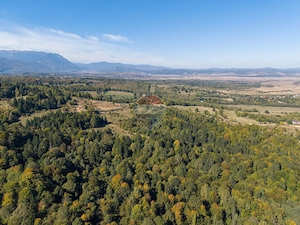 COMISION 0% | TEREN 9.300 MP ÎN INIMA MUNȚILOR | GLĂJERIE – RÂȘNOV - imagine 20
