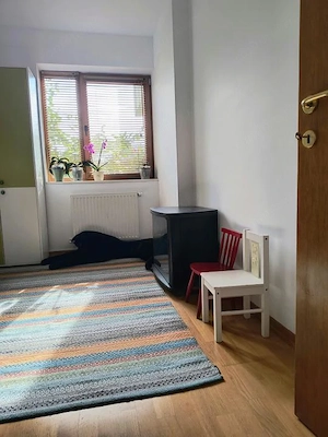 Doi Cocosi - Straulesti - 3 camere cu parcare si boxa incluse - imagine 13