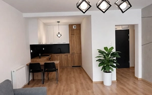 Apartament cu 2 camere de închiriat în Dristor - imagine 2
