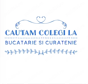 Cautam colegi la Curatenie si Bucatarie full time sau part time