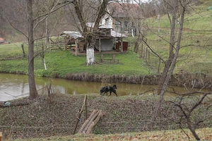Teren intravilan 1,5 ha cu izvor, iaz și utilități, Certeju de Jos, Hunedoara