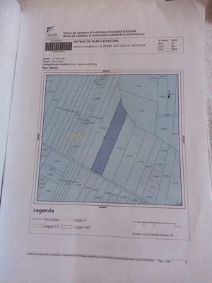 Vând teren cu pădure 61 ari  Părteștii de sus.jud Suceava.  j.              - imagine 3