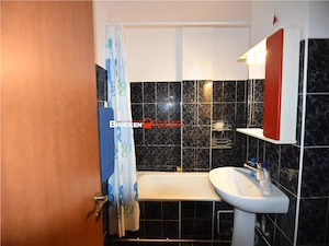 Apartament de inchiriat - imagine 10