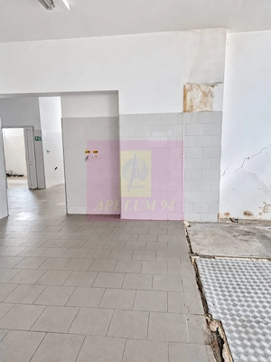 Spațiu comercial de închiriat în Floreasca | 145 mp utili, terasă - imagine 6