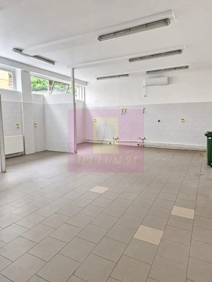 Spațiu comercial de închiriat în Floreasca | 145 mp utili, terasă - imagine 5