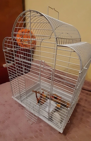 accesorii animale