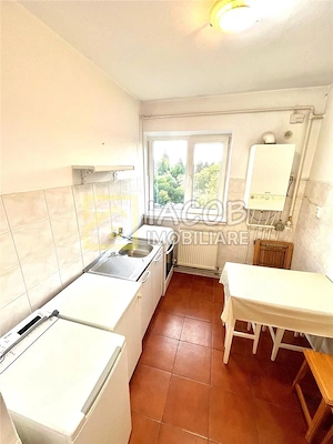Aleea Parcului, 2 camere decomandate, etaj 4, Bacau - imagine 6