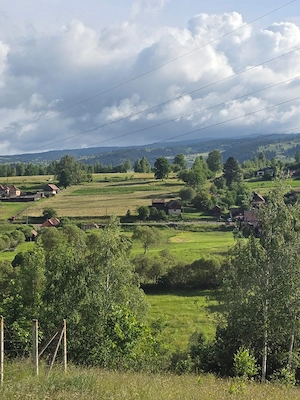 Gospodarie si terenuri 