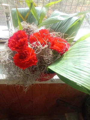 Aranjamente florale unicat deosebite pentru Crăciun 