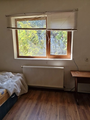 Afumati Casa 4 camere parter la sosea teren 800 mp ideal afacere - imagine 6