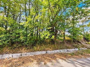 Teren intravilan, 1260 mp, localitate Ususau - imagine 3