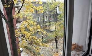 2 Camere | Floreasca | Metrou | Mobilat | Utilat - imagine 7