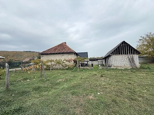 casa de vanzare Pestis judetul Bihor  - imagine 4