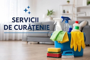    Ofer servicii de curățenie în curți și gospodării   Techirghiol și împrejurimi!