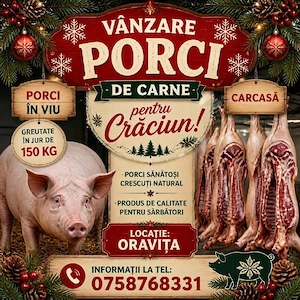 Porci de taiat si purcei