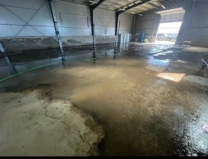 Hală de inchiriat în Giroc  - imagine 3