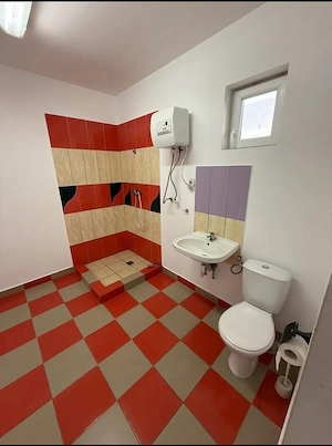 Hală de inchiriat în Giroc  - imagine 9