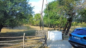 TEREN 5274 MP, CADRU NATURAL MINUNAT - imagine 15