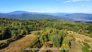 TEREN 5274 MP, CADRU NATURAL MINUNAT - imagine 14