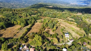 TEREN 5274 MP, CADRU NATURAL MINUNAT - imagine 17