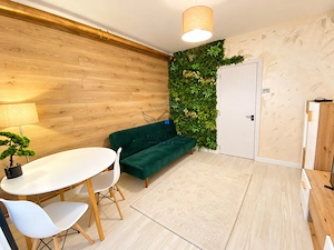 OPORTUNITATE investitie! Garsoniera renovata Lucian Blaga - imagine 2